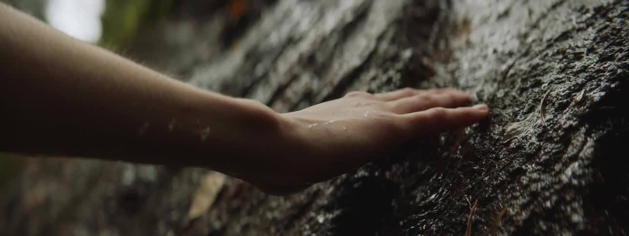 A white person runs their hand down a wet rock