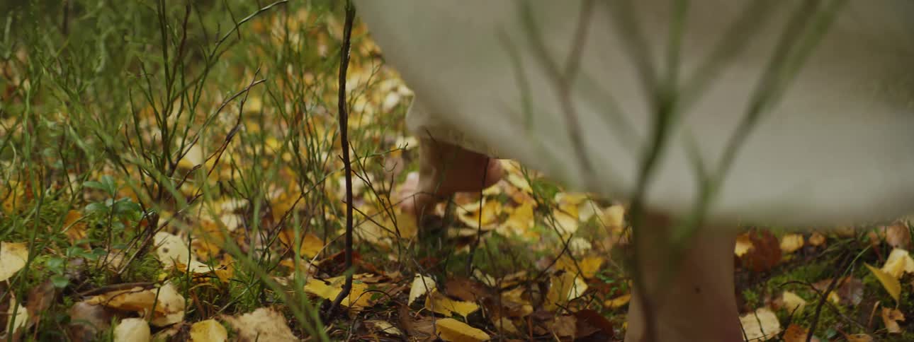 A woman is walking barefoot through a grassland area