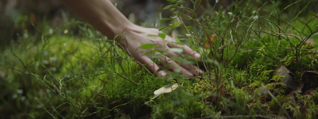 A woman runs her hand along the ground