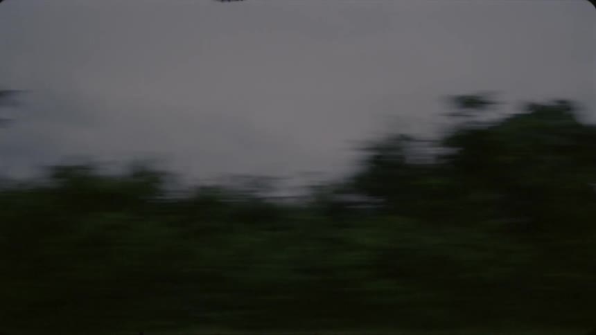 Fast traveling past fields with cows grazing at sunset