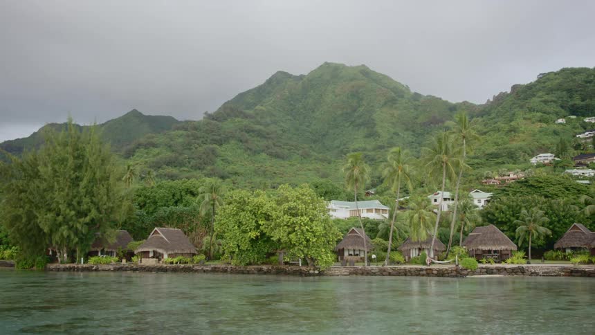 A forested mountain looms over a coastal village