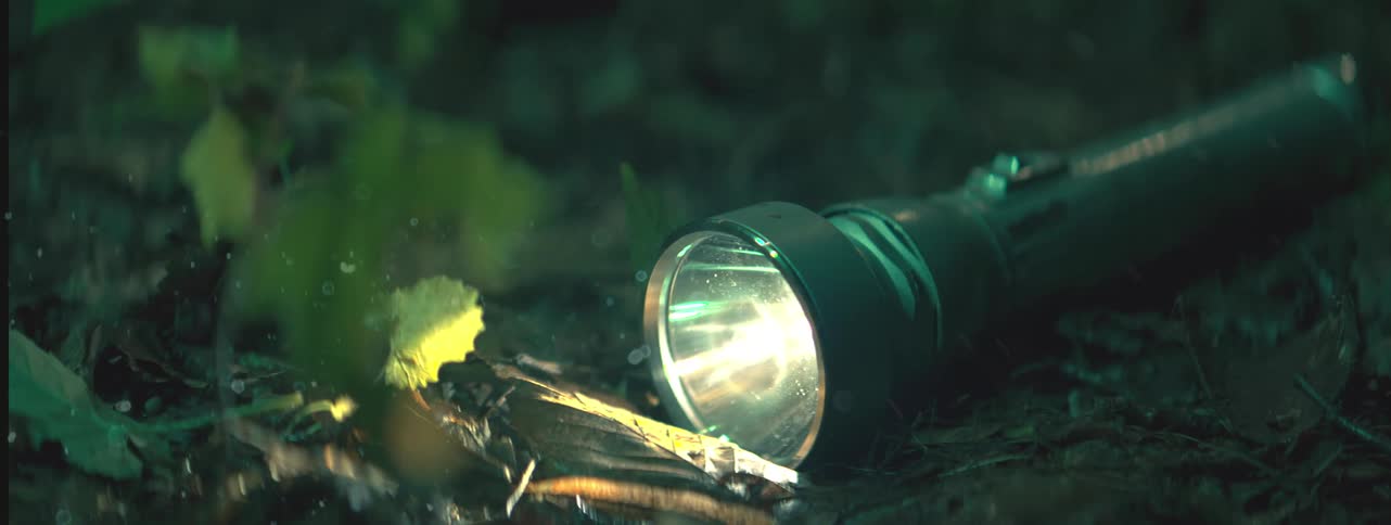 A flashlight shining on the ground next to leaves