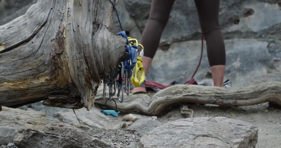 Woman stands near a log as she holds a rope