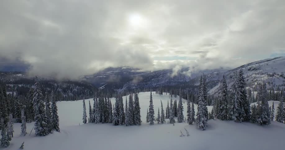 Aerial of a snowy forest with mountains and the sky in the background