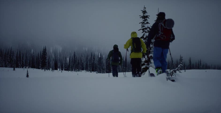 Three people skiing towards a forest of trees with a heavy layer of fog hanging over
