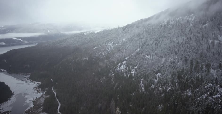 A pine forest on a mountain slope covered in snow from a helicopter