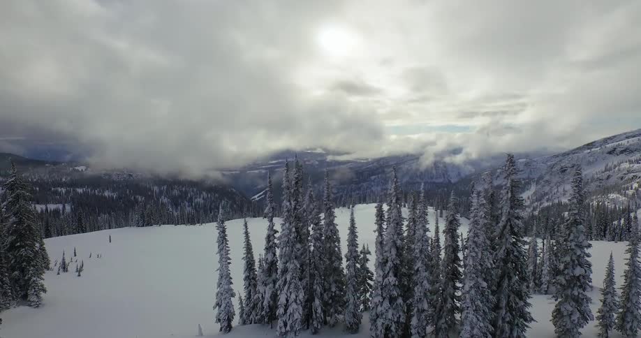 Aerial push over snow covered trees in mountain landscape