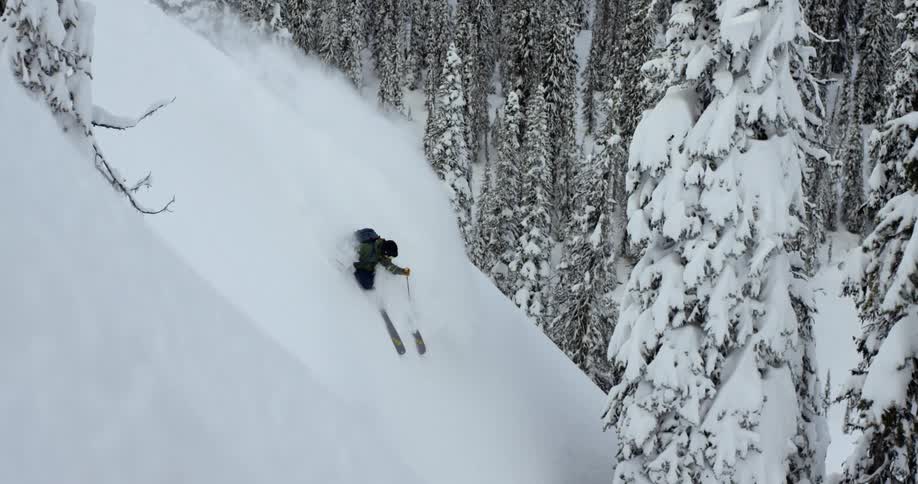 A skier skis through fresh powder on a steep slope near snow covered trees
