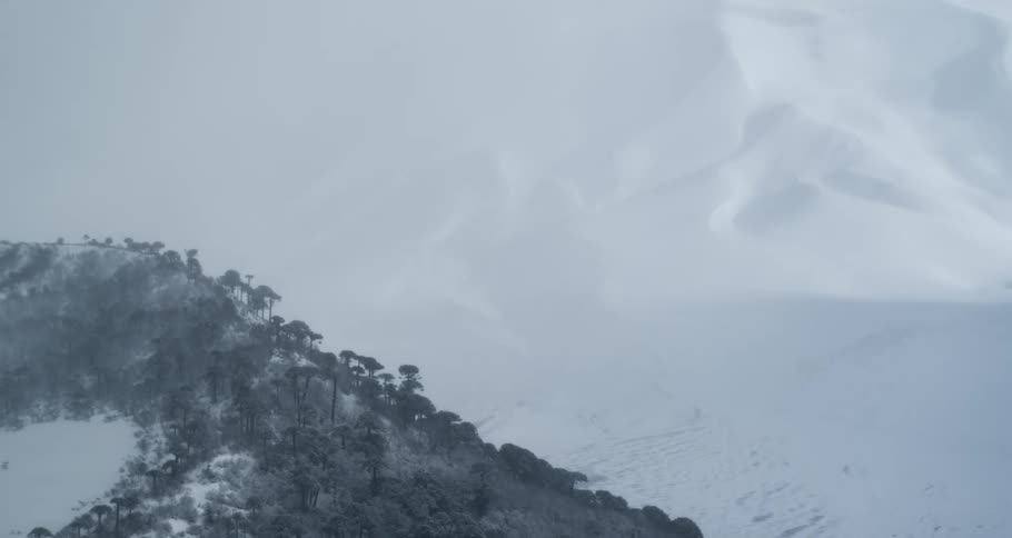Aerial of mountain and trees covered in snow