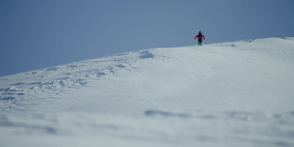 A person carrying skis climbs a snowy hill