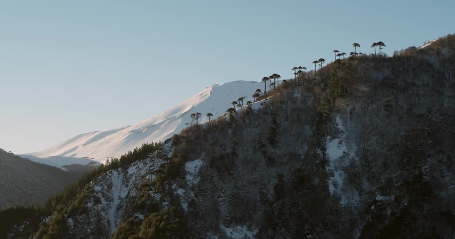Aerial of a snowy volcano revealed behind a forest ridge