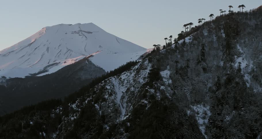 Aerial of a forest ridge revealing a massive volcano