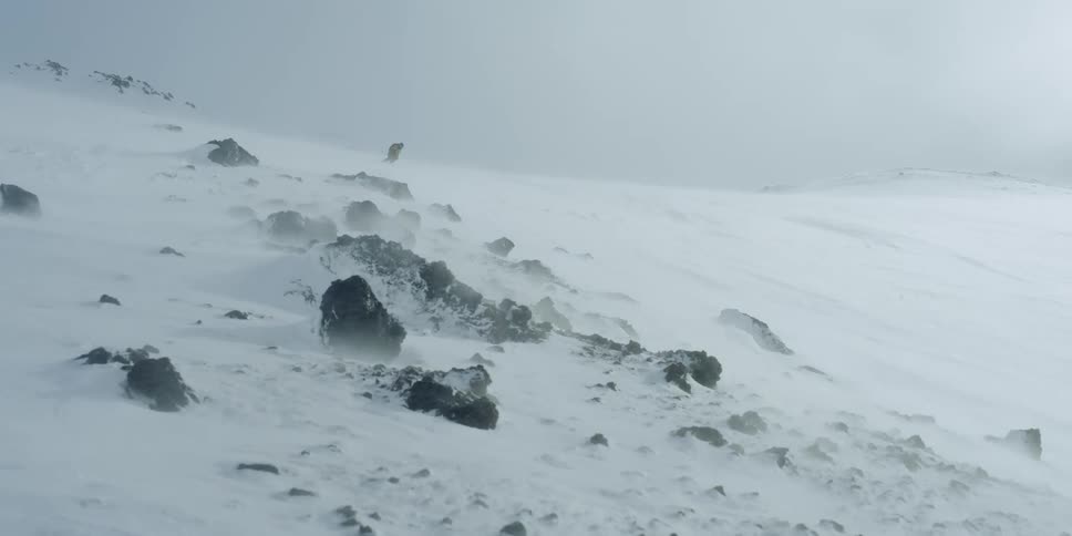 A skier comes down a rocky slope while the wind blows and fog covers the ridge