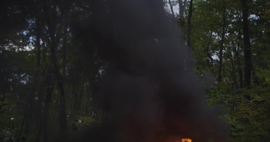 Flames engulf a car in the forest as black smoke rises to the sky