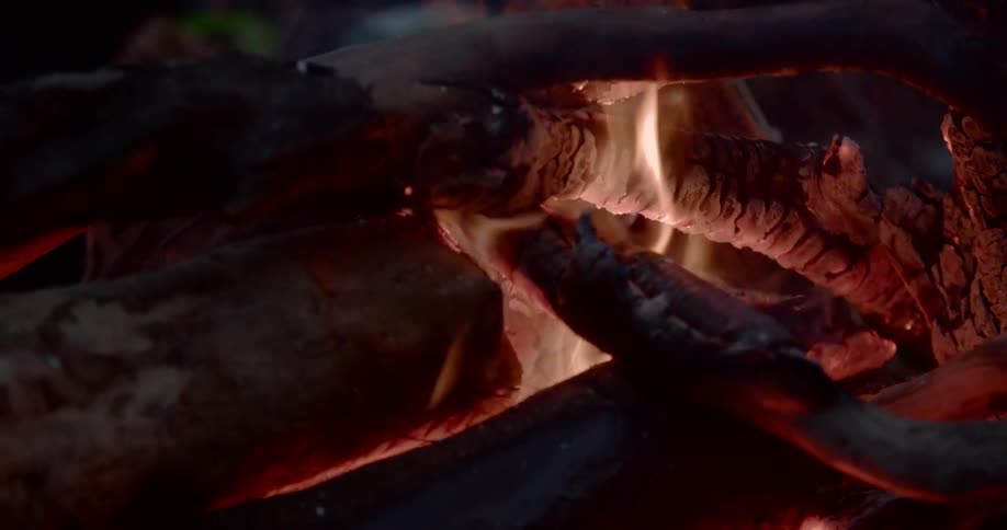 The flames of a campfire burning fallen branches at night