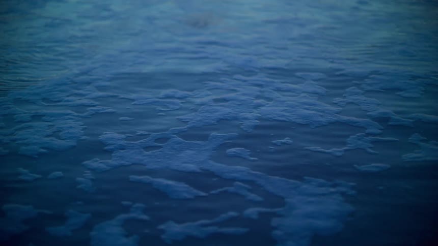 Foam on top of the sea