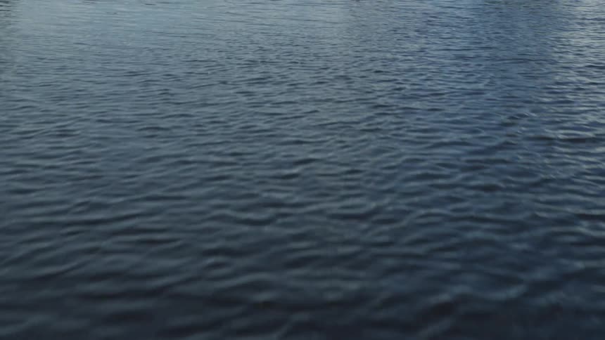 Everglades