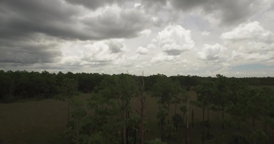 Traveling over a large field with many trees in the distance