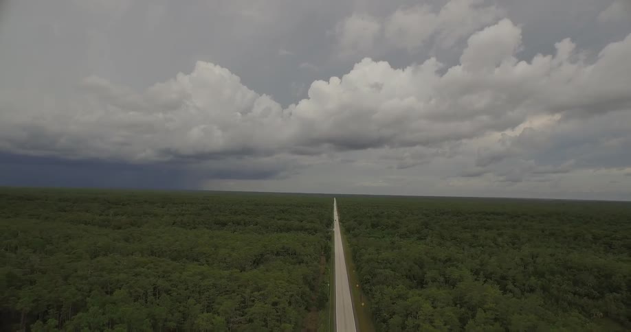 A long straight road bounded by a vast forest or jungle disappears at the horizon under cloudy skies