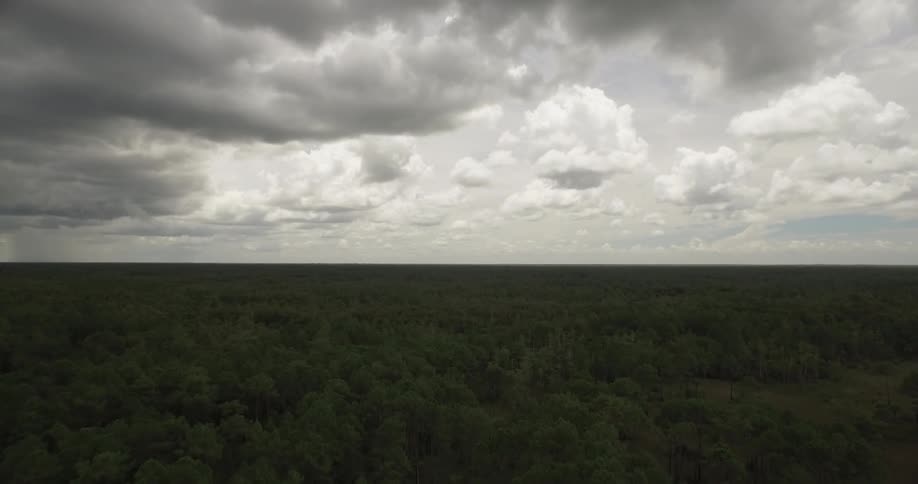 Clouds float over an open field