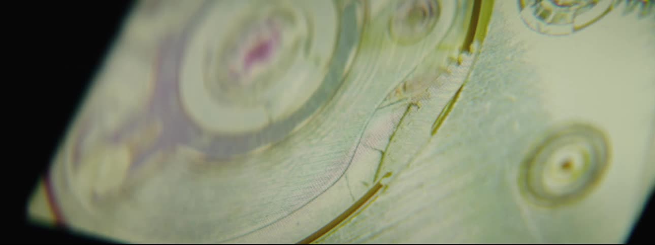 An image on the screen of a digital microscope turns and changes