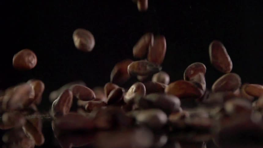 Coffee beans of various colors and textures drop and bounce on a counter top