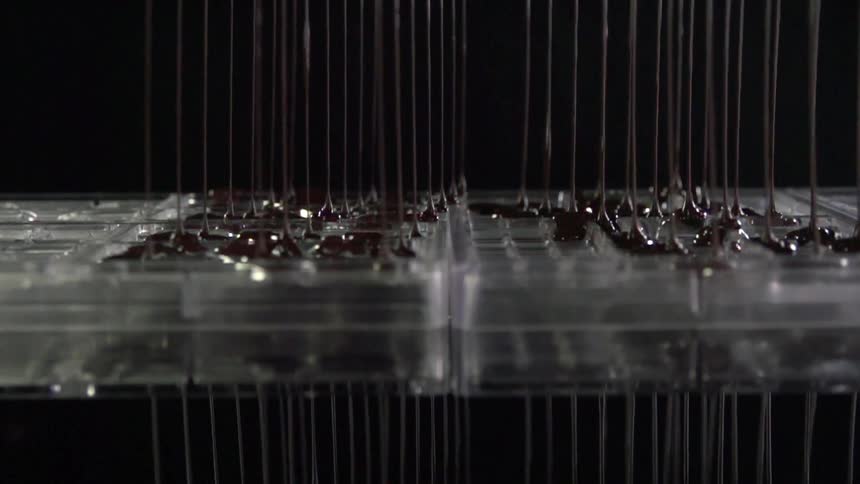 Melted chocolate poured on transparent bonbon molds