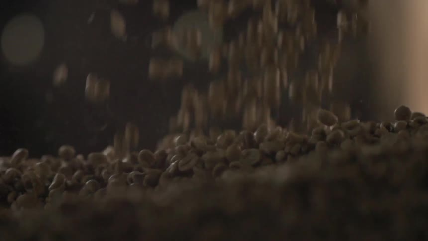 Beans falling in a factory