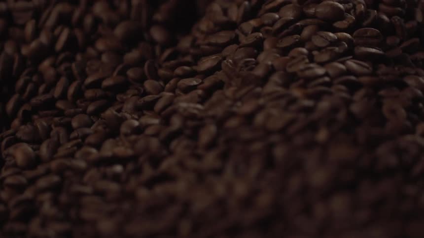 A machine stirs a pile of coffee beans