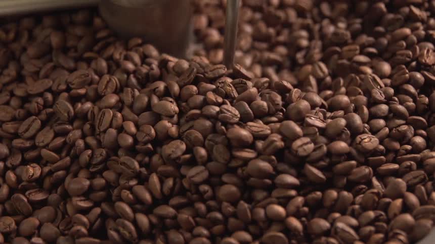 A machine spins a large number of coffee beans
