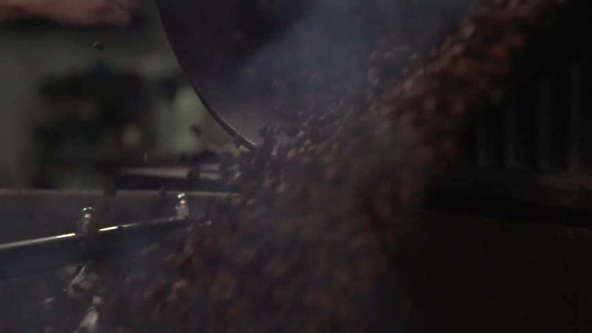 Coffee beans flow down a chute and into a sorter for roasting