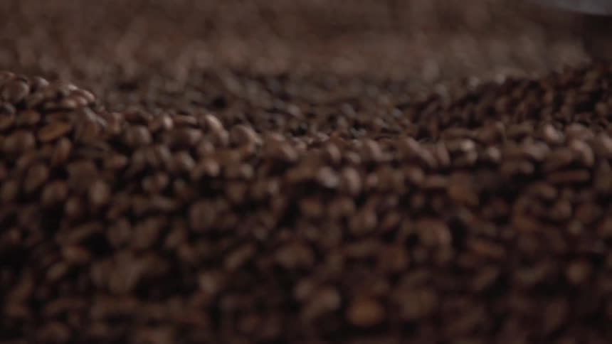 A machine stirs a large number of coffee beans