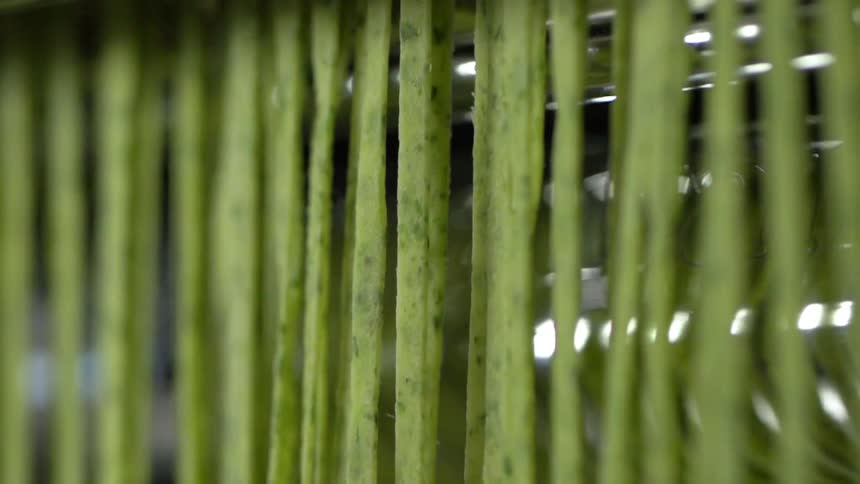 A slicer cuts food into narrow strips