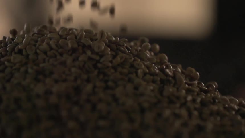 Coffee beans fall to form growing mound