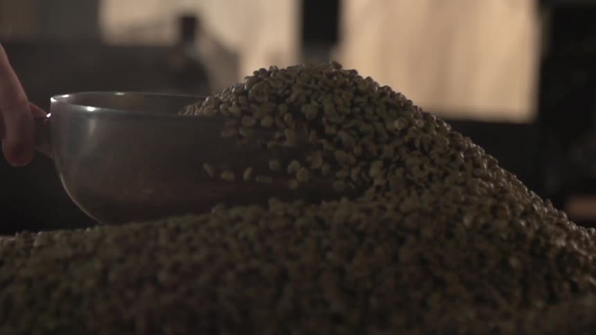A person scoops up some grain with a stainless steel scoop