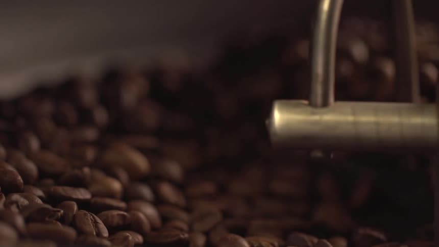 Roasted coffee beans being mixed by a spinning wheel