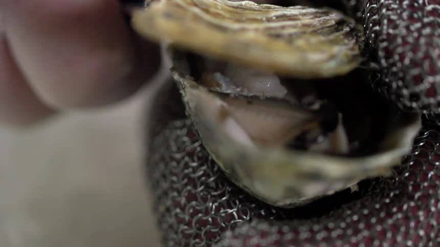 A gloved hand holds an oyster as a person uses a knife to shuck it