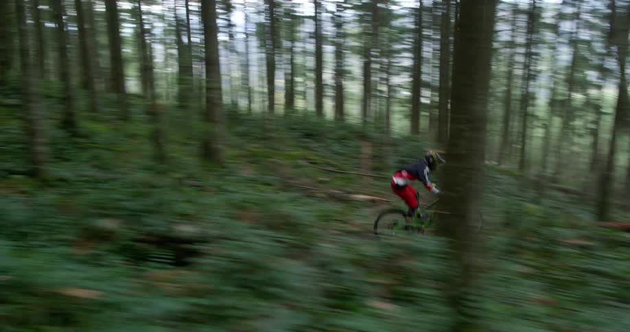 Bicyclist rides down sloping obstacle strewn path through forest