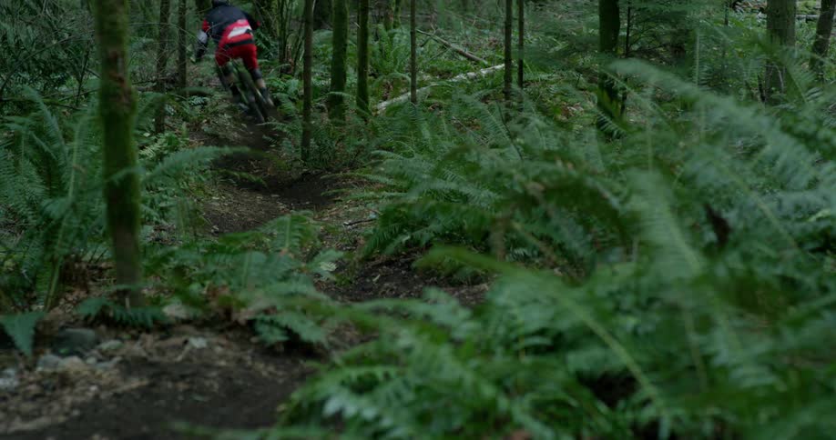 Bicyclist rides a bicycle at a fast speed on a trail in the forest