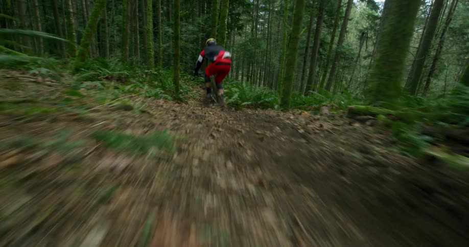 A man rides a mountain bike through a trail in the forest