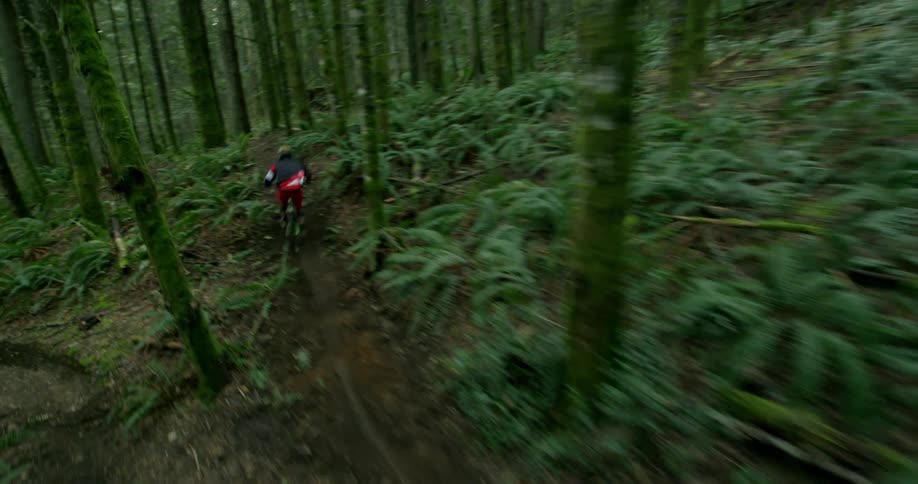 A cyclist on a mountain bike tears down a dirt path through the woods