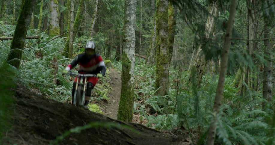 A bicyclist jumps over a fallen tree while riding in a forest