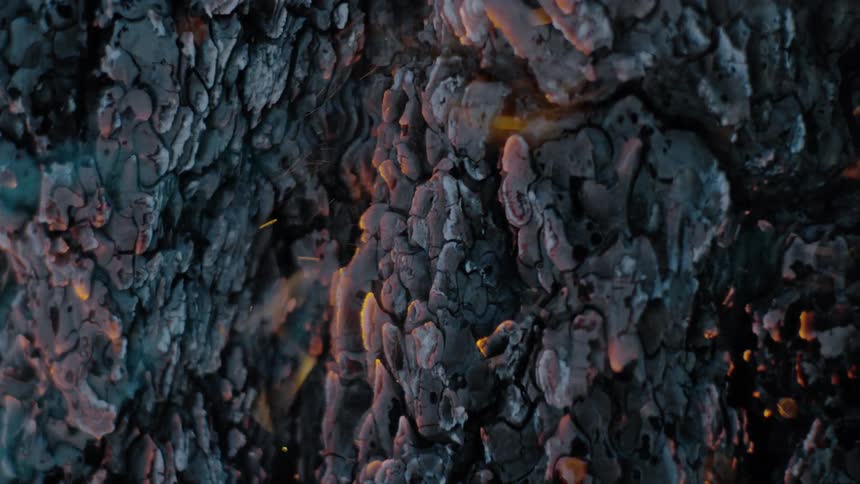 Burning tree bark breaks away