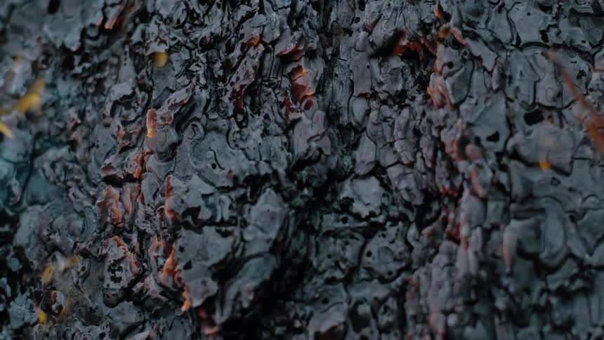 Embers flake off and float away as a fire burns super hot