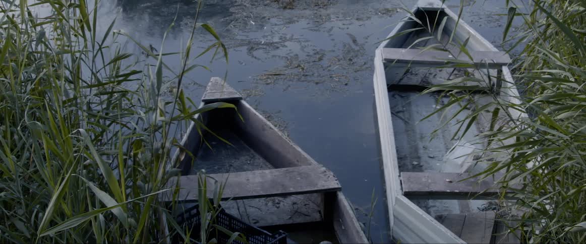 Two wooden row boats near shore and tall weeds in a pond