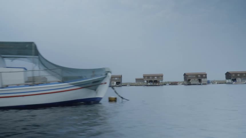 A wrapped in netting floats offshore from a row of houses