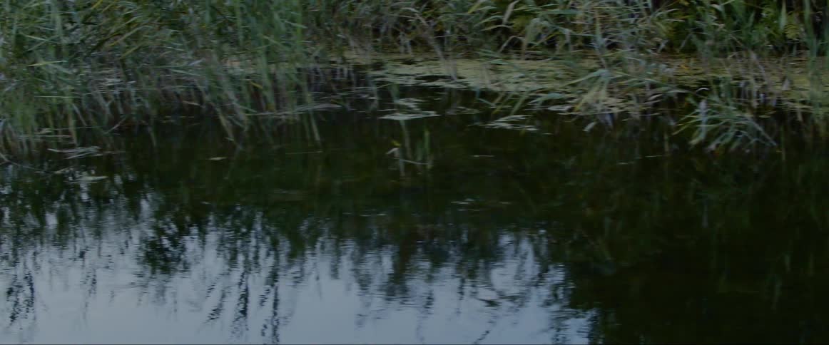 The sky and nearby vegetation being reflected on the surface of the water of a marsh