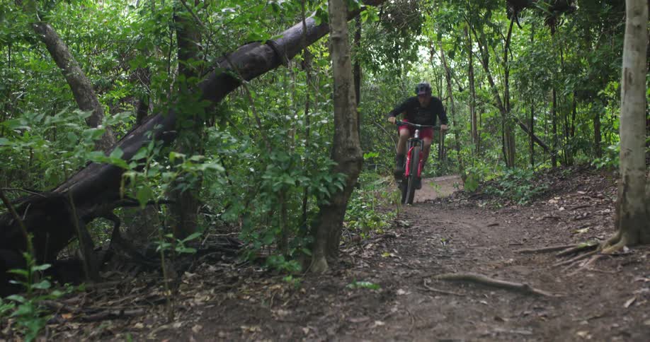 A man riding a bike in a forest