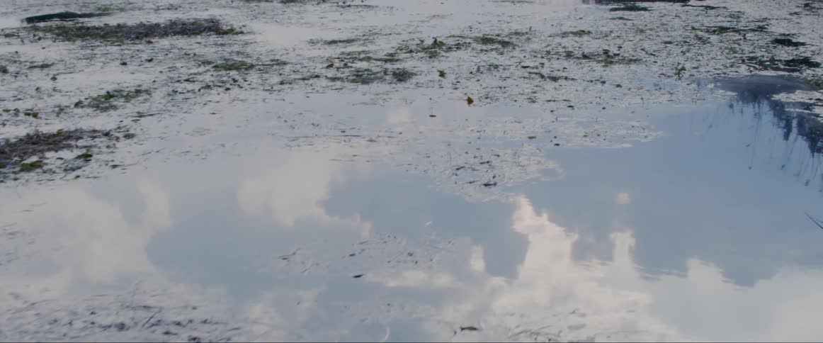 The sky and clouds are reflected on a pond surface