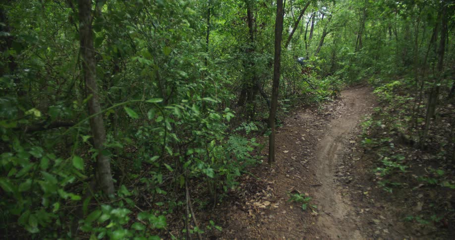 Mountain biker rides through corners on trail in forest